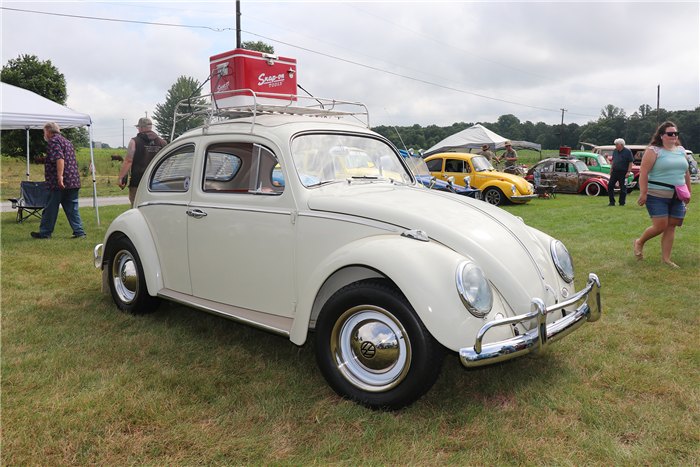 White Beetle · Original photo
